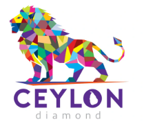 Screenshot 2024-11-23 144620